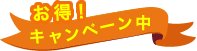 お得！キャンペーン中